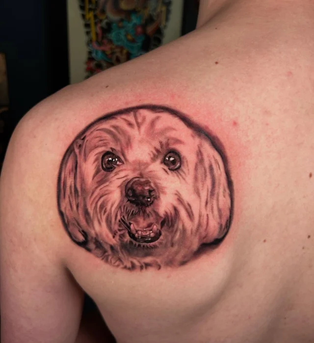 Tattooed this little guy last week!  Super fun!  Thank you Devan!