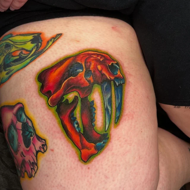 Fun color saber tooth tiger skull on the talented @devilsworkshoptattoos!  Thank you as always for being tough, trusting me, and holding a great conversation the whole time!