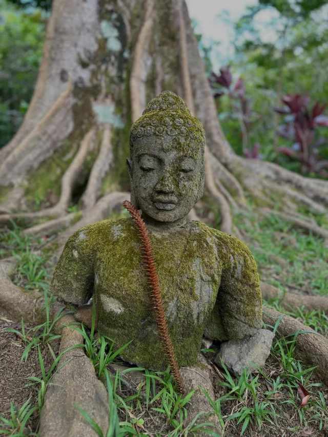 YEAR ✌🏻TWO.  7 Ope 1 Tattoos is into its second year in business!  First and foremost Happy New Year everyone!  I hope 2026 has started off well for you!  I just wanna say thank you from the bottom of my heart for making this dream come true!  Daily I give thanks that I get to call this my career.  Absolutely none of it would be possible without my clients, family, and friends!  I’m eternally grateful for the relationships I’ve built over the years and unwavering loyalty my clients have shown in showing up for me and supporting me!  Words can’t quite show my appreciation enough but trust in me saying I wouldn’t be anywhere without your support so thank you!  Another big thank you is to my wife @carissalou for supporting this dream right alongside me all these years and sharing the stress and difficulties that can come along with owning a small business.  So again thank you my Love Carissa for helping me foster success and keeping me on the straight and narrow path of life!  Here is a small selection of some of my favorite tattoos from this last year!  I’m always looking to grow as an artist and striving to be better than I was yesterday and I will perpetually be chasing that the rest of my Career.  Again thank you everyone who has helped me along the way to grow and enjoy life throughly!  Cheers to 2026 🤙🏻 Onward and Upward