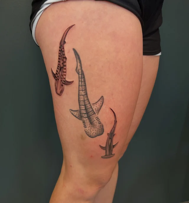Few different sessions in one post but have been able to work on these ocean critters recently!  The whale shark in the middle of the thigh was from last year then added the tiger and the hammerhead!  The rays were added most recently!  Thanks again for sitting great @loisschneider2006 🤙🏻 🦈